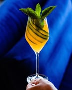 lonely boy paradise // ungava gin + strega + bell pepper siz + big trouble tincture