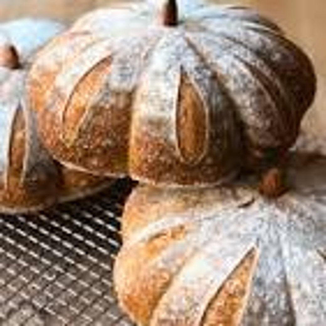 Thanksgiving Mini Buns Pumpkin boule 85gr