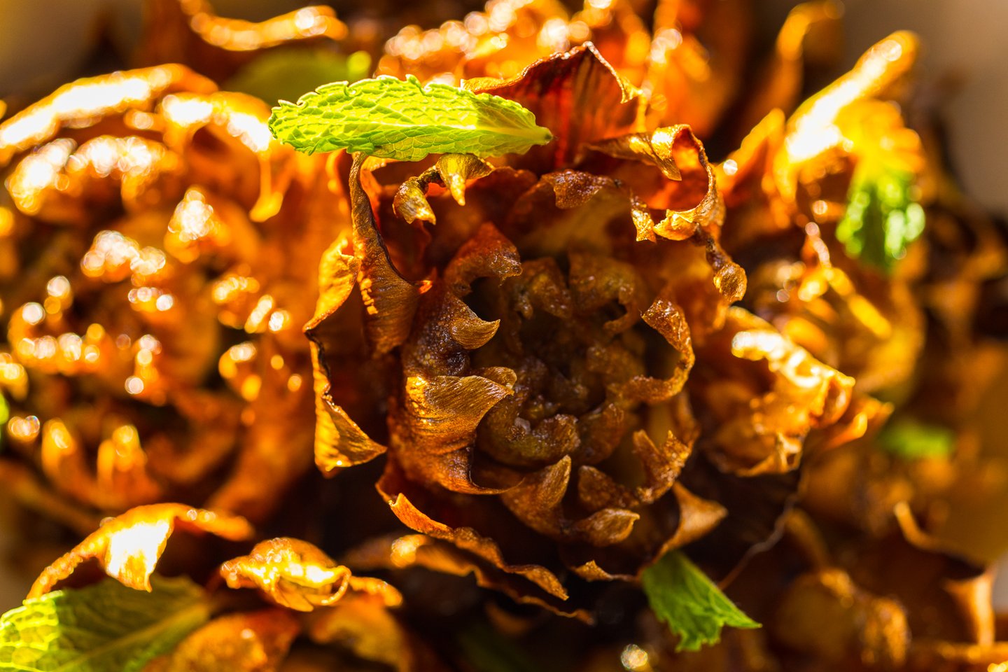 Decoration image without any essential information