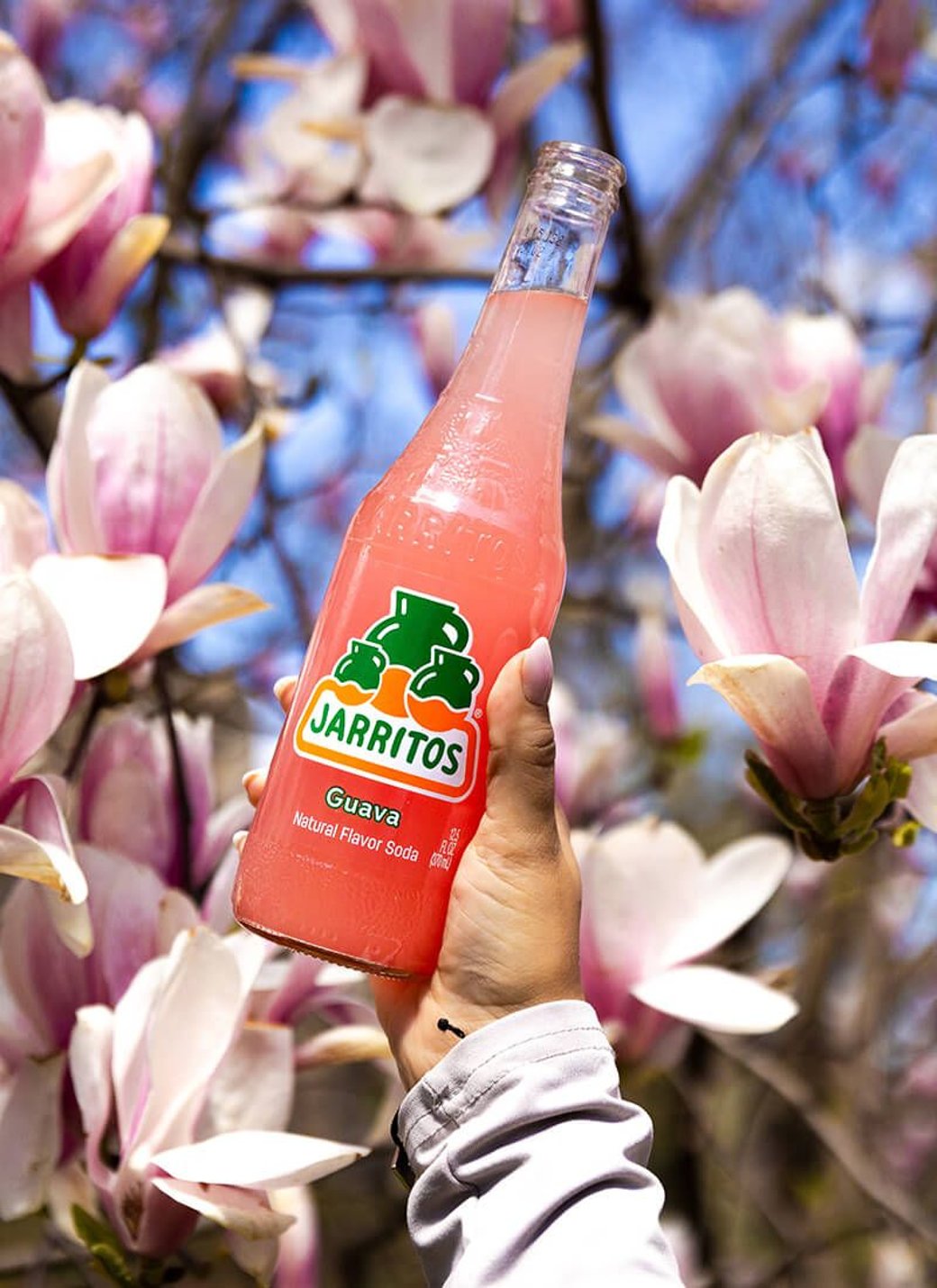 Guava Jarrito