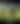 blurred background image