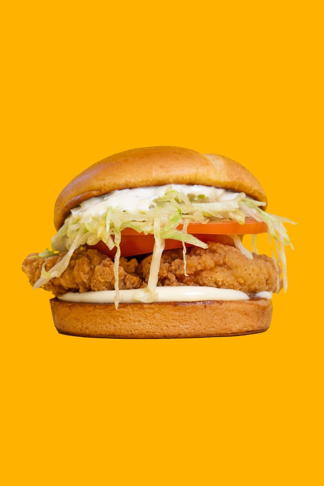 Plain Chicken Sandwich