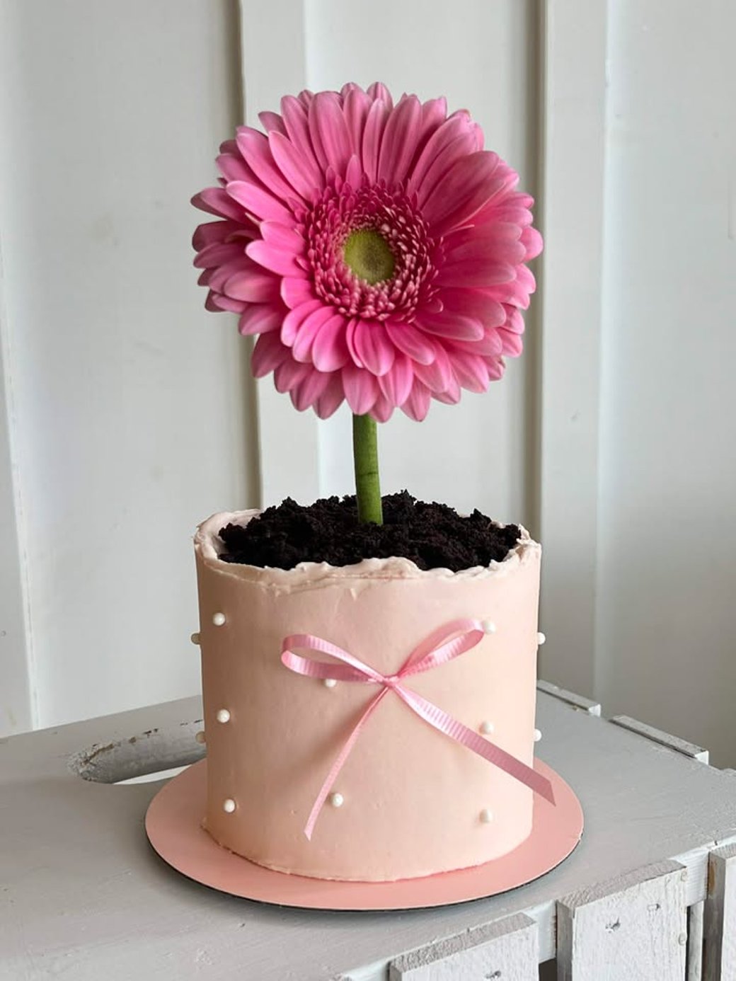 Flower-Pot cake