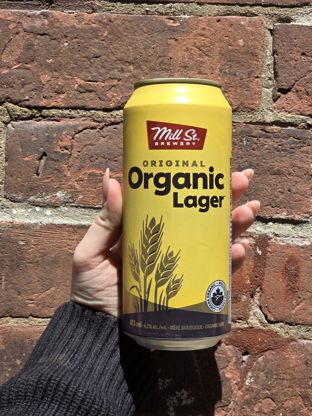 Organic Lager 