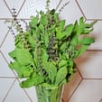 Holy Basil (50g) , shop product