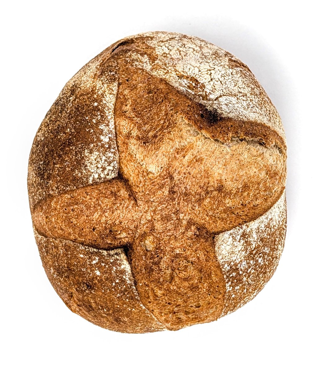 Organic Whole Wheat