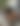 blurred background image