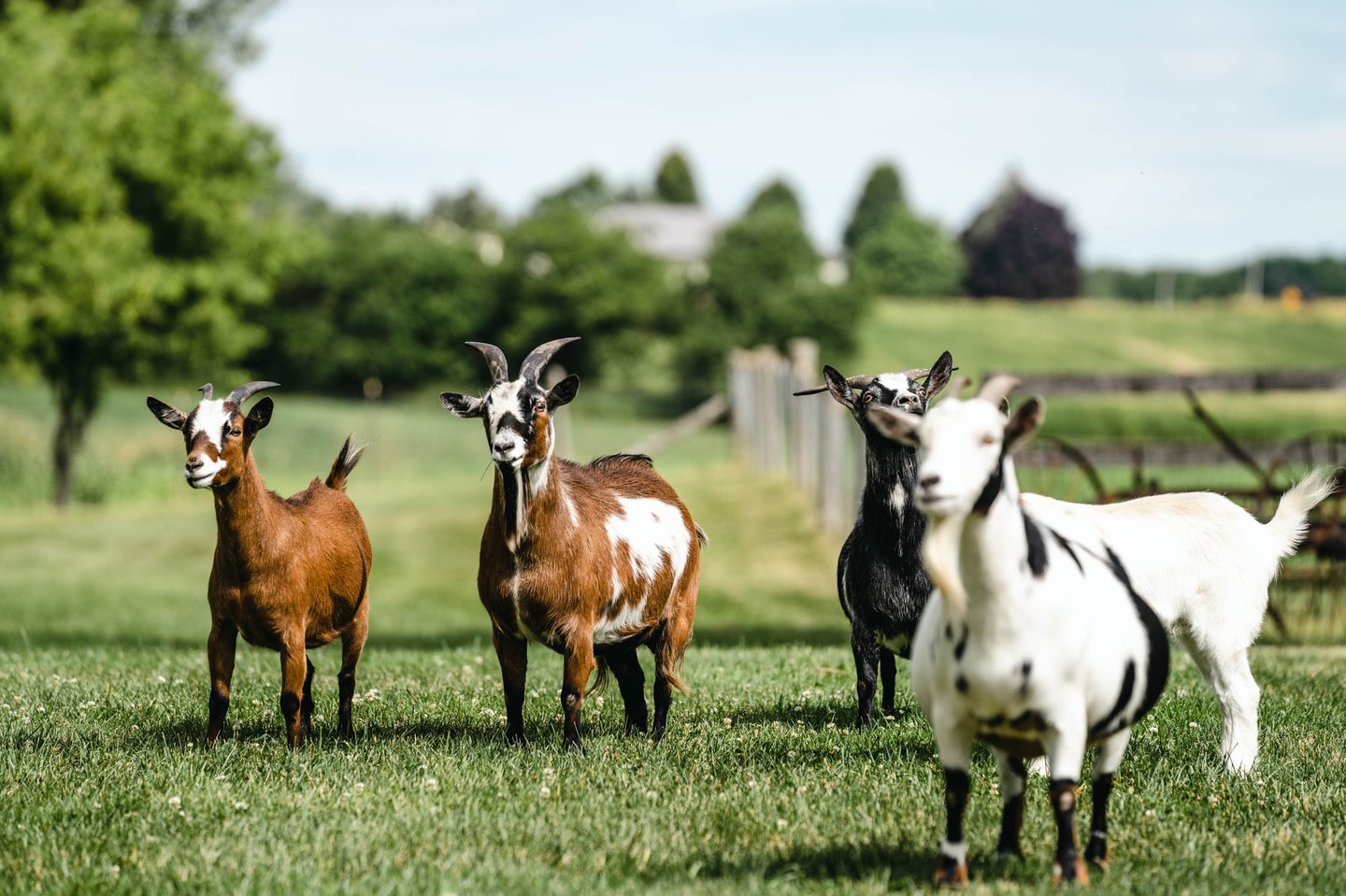 Decoration image without any essential information