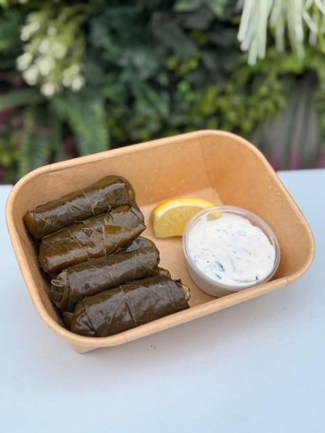 Dolmas (4)