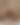 blurred background image