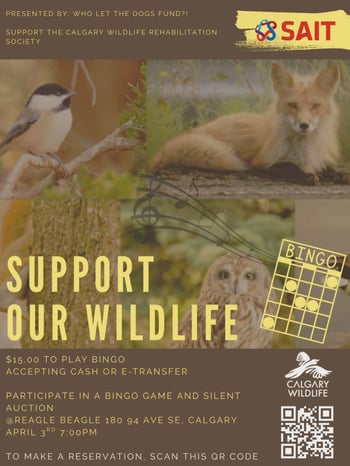 INTO THE WILD BINGO NIGHT