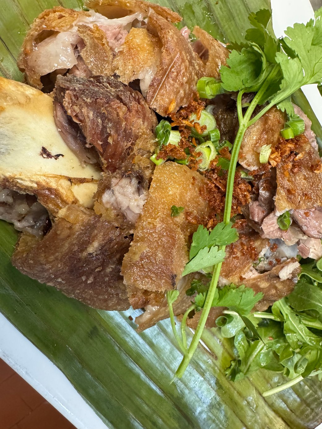 CRISPY PATA
