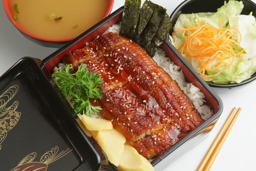 Unagi Don