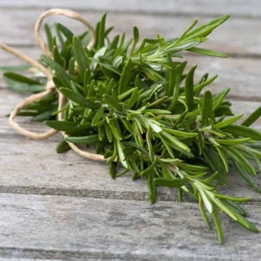 Rosemary