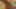 Website gallery image