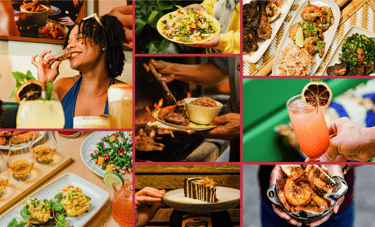 Website gallery image