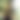 blurred background image