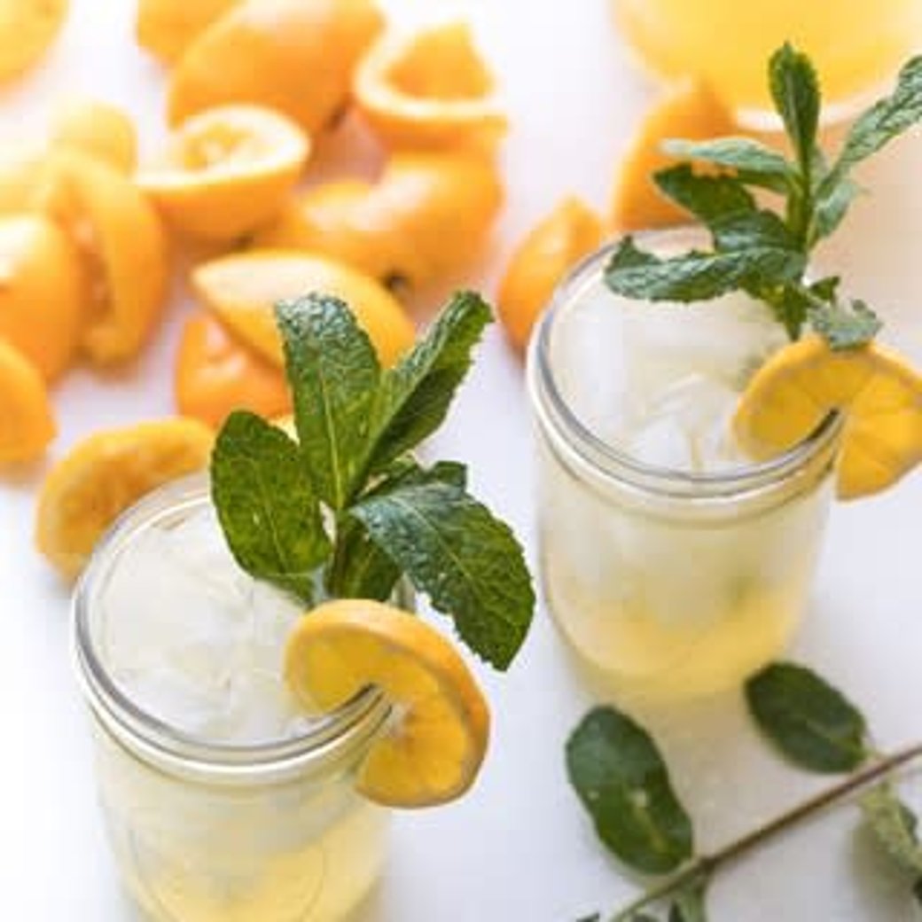 Fresh Squeezed Lemonade - Hot or Cold