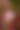 blurred background image