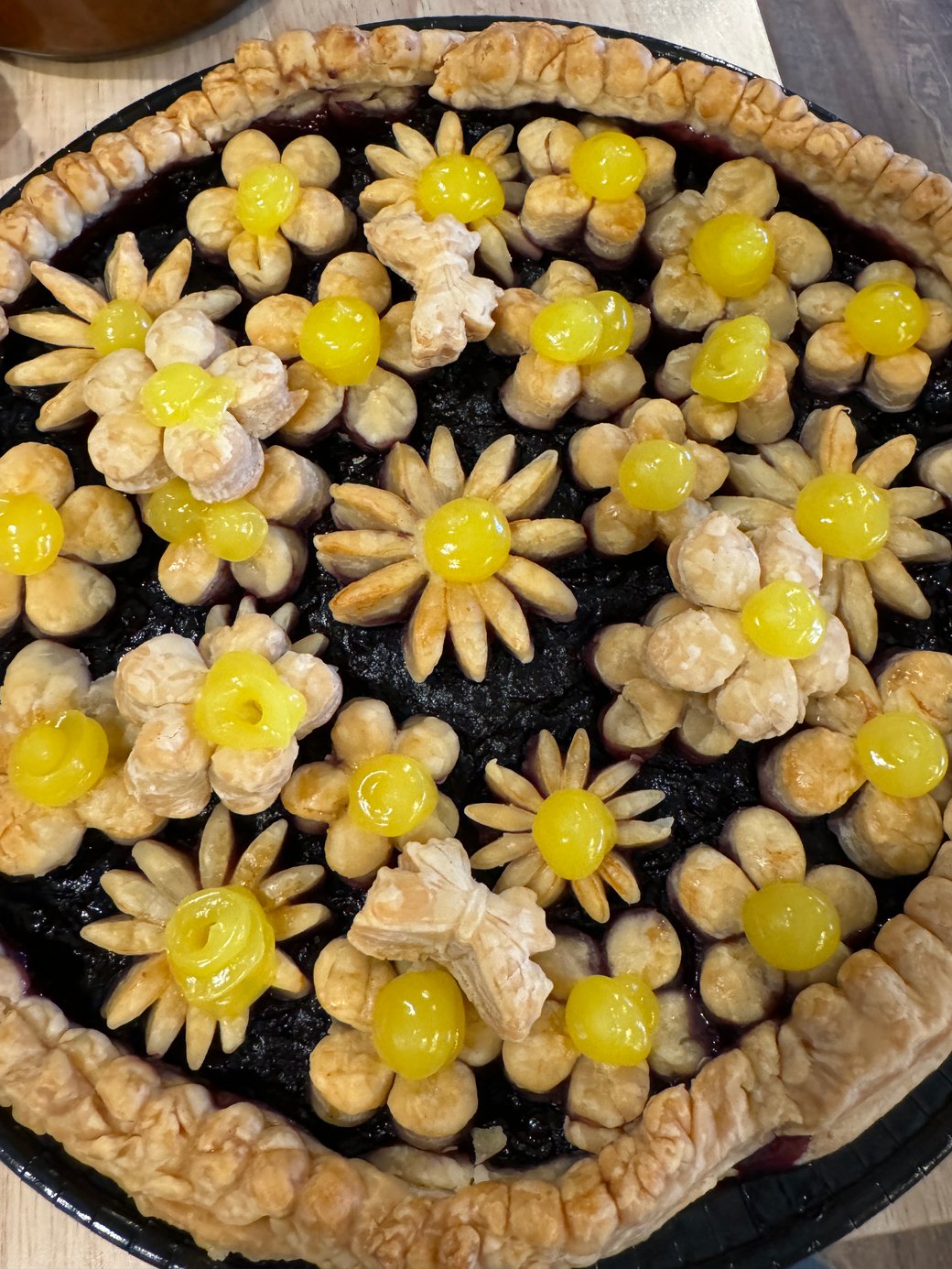 Blueberry Lavender Lemon Daisy Pie