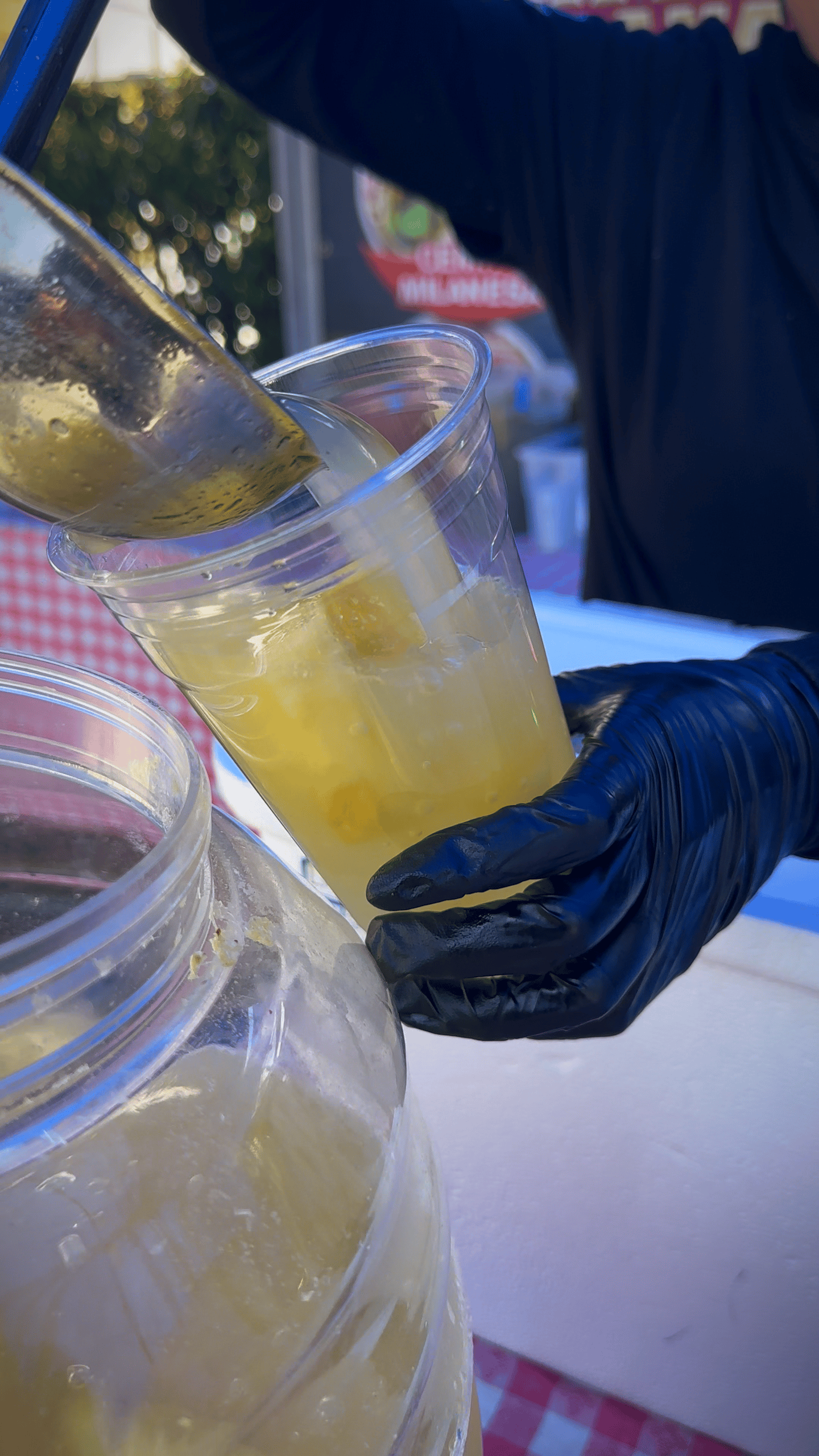 EL AUTENTICO SABOR DE PUEBLA