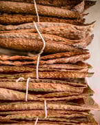 matzah matzah matzah 🎉