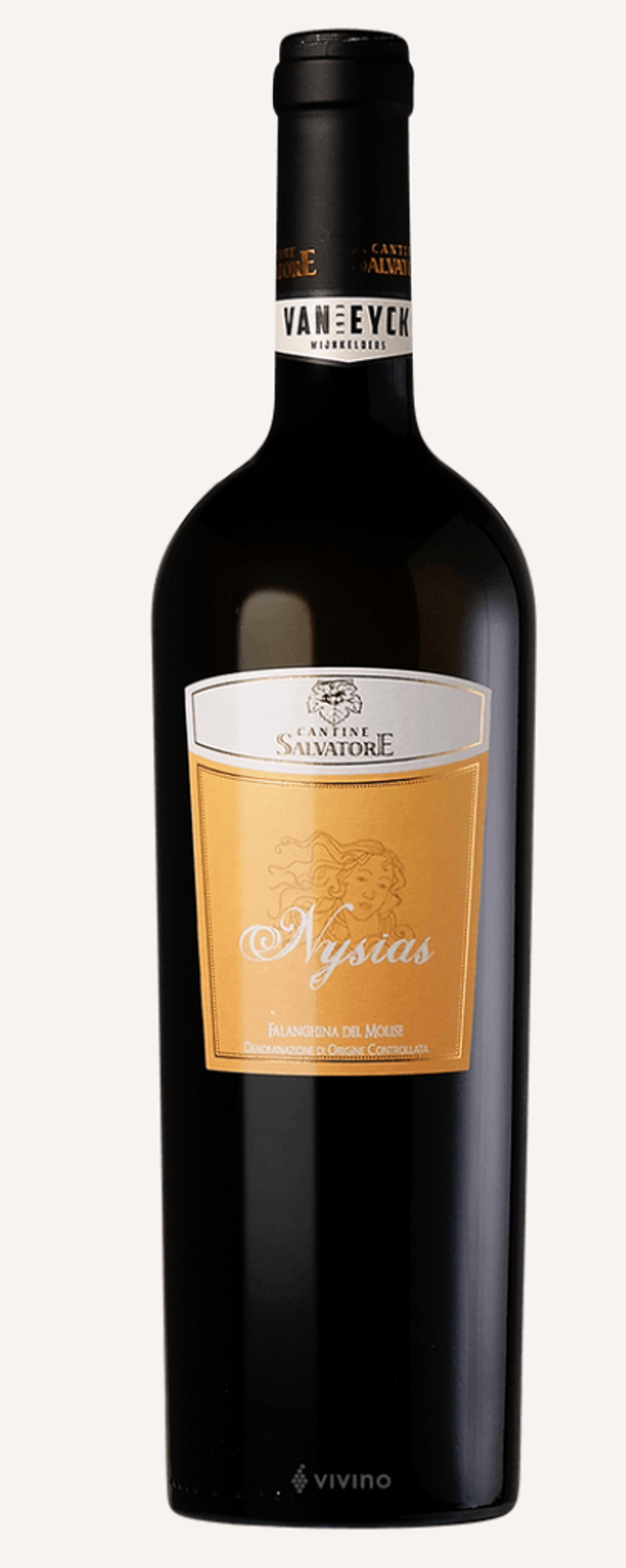 Cantina Salvatore, Falanghina, Molise 