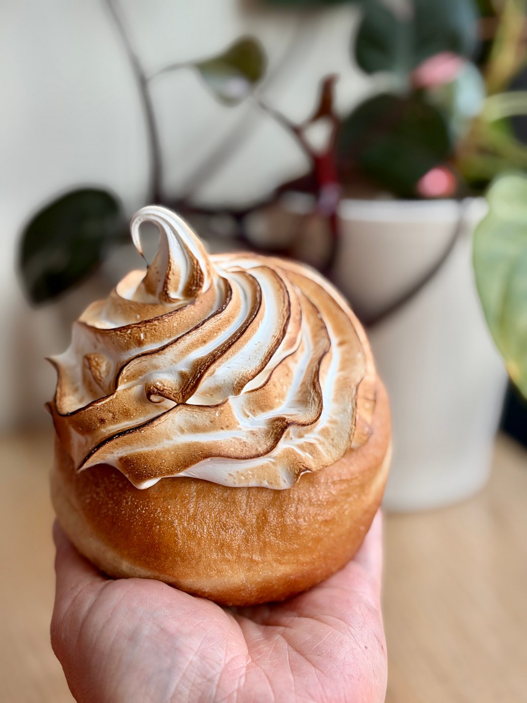 Rhubarb Meringue