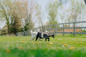 Growing travel trend of connecting agriculture and tourism is good for all