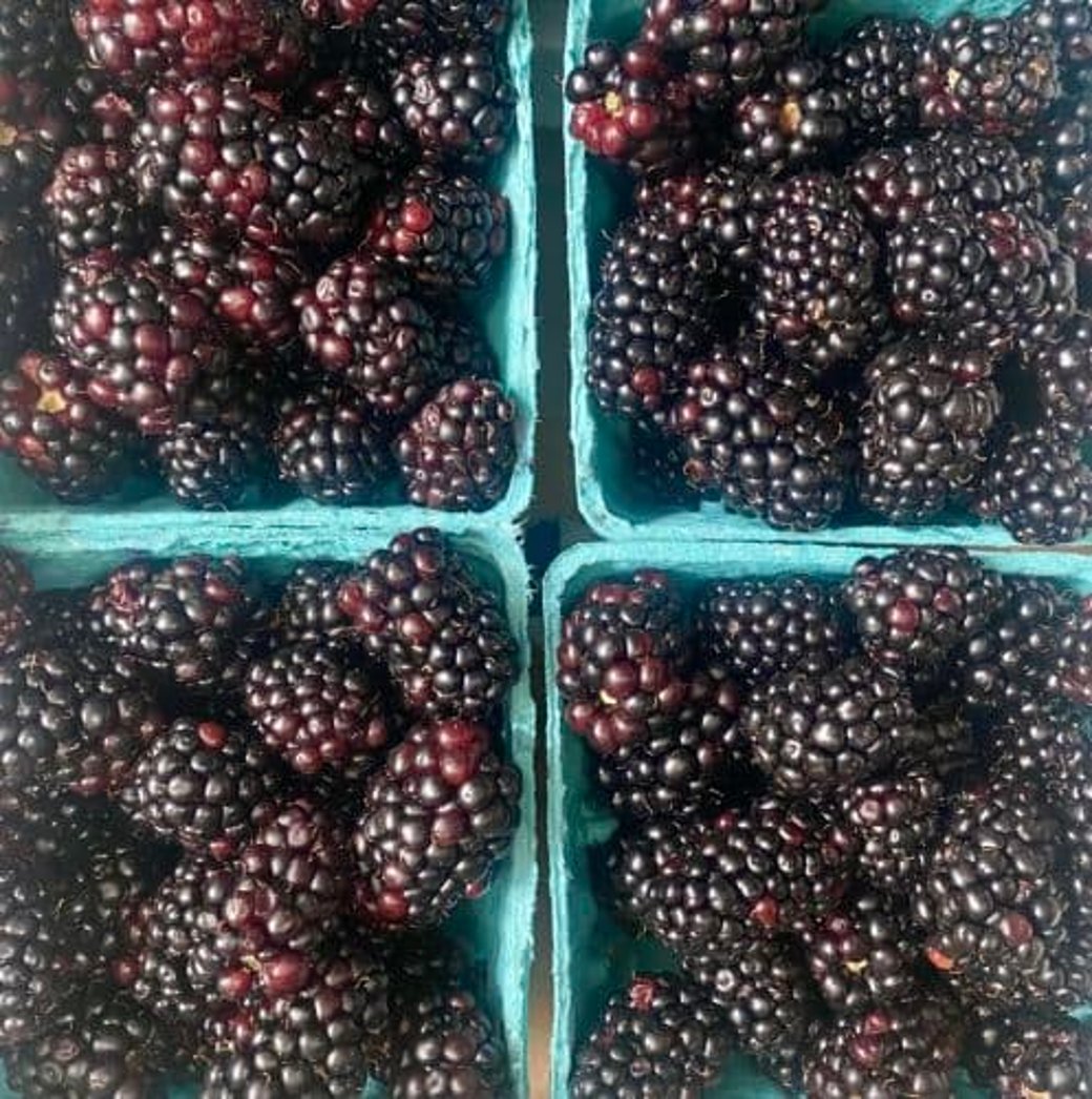 Blackberries