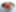 Wild Thyme Restaurant Group Introducing New Japanese Concept | What Now Los Angeles