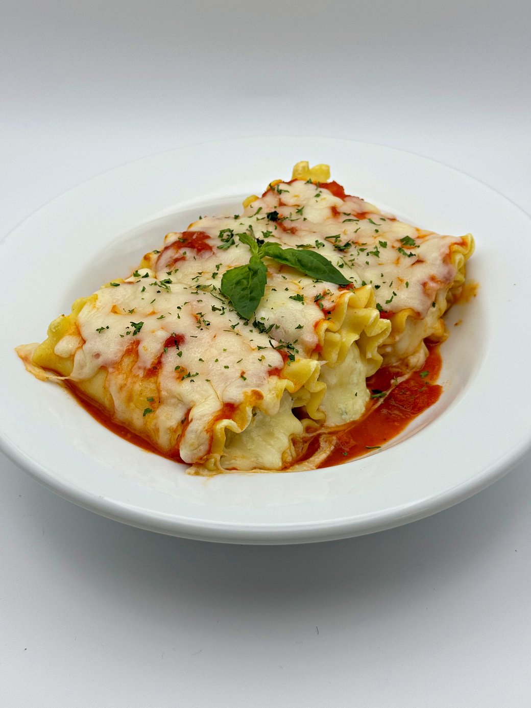 Manicotti Tray