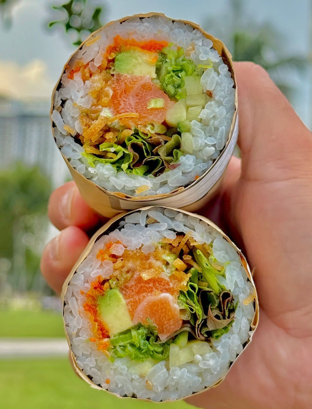 Salmon sushi burrito + Chips