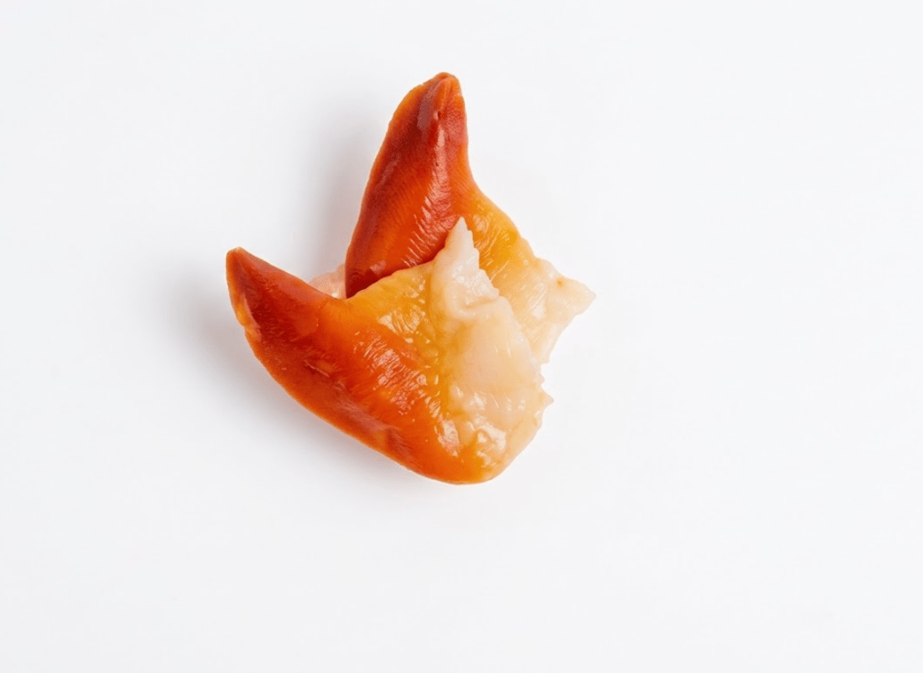 Hokkigai (Surf Clam)