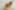 Decoration image without any essential information