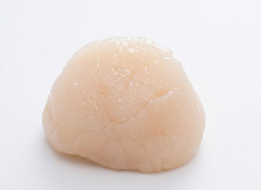 Hotategai (Scallop)