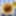 Post img