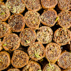 pistachio baklava for days ✨ come say hi, we're open!