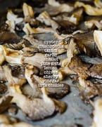 In African and Middle Eastern cultures, mushrooms 🍄 have a history as a highly nutritional food and were widely applied in folk medicine.

For a long time, fungi were considered food and medicine for only royalty 👑, and that no normal citizens were allowed to consume this precious food.

But, you're our family 🫶, and we love to cook for you. 
Our oyster mushrooms are roasted in our wood-fired grill 🔥, in the middle of the kitchen, for all to see. Then served on a bed of garlic tahini, topped with pine nuts and aged-sherry vinegar. 

We treat our family right 🤍 Click the link in bio to secure your reservation 〰️

#middleeasternfood #lebanesefood #mediterraneanfood #mediterraneandiet #mediterraneancuisine #arabicfood #azhartoronto #azharkitchenandbar #ossingtonstrip #ossington #toronto #food #torontolife #torontoeats #Azhar #AzharRestaurantAndBar #AzharOssington #Gusto54RestaurantGroup #Gusto54 #navigatedesign