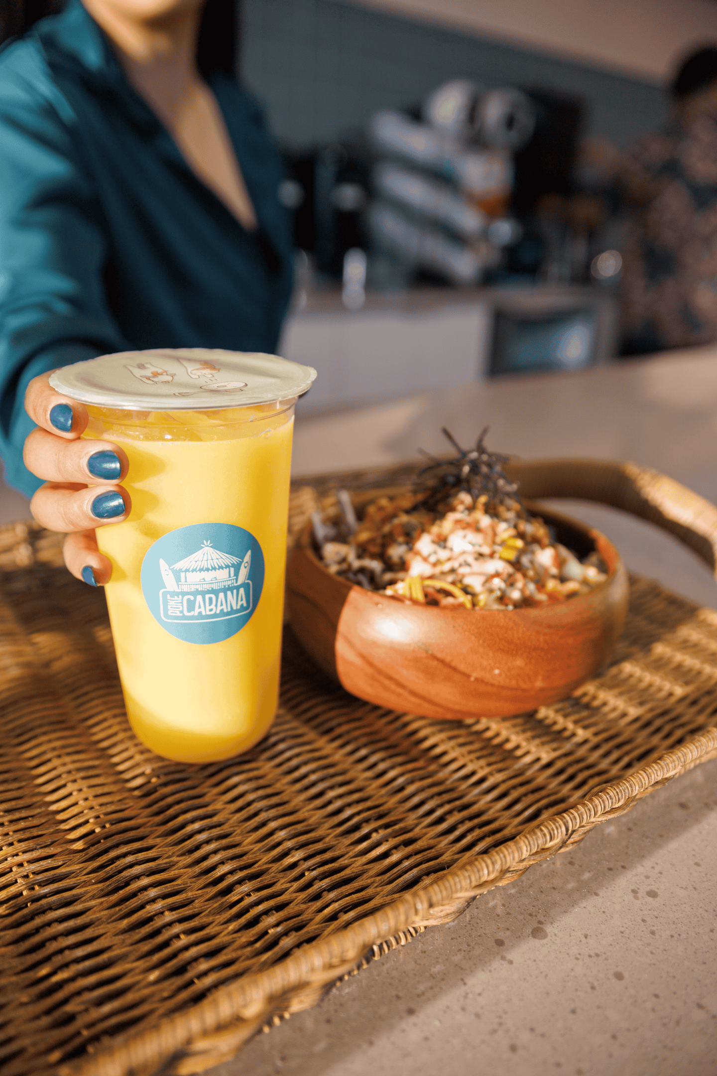 Discover Our Creations