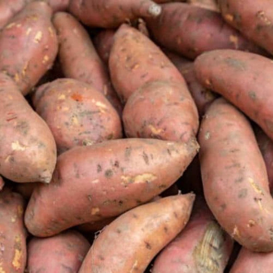 Sweet Potato
