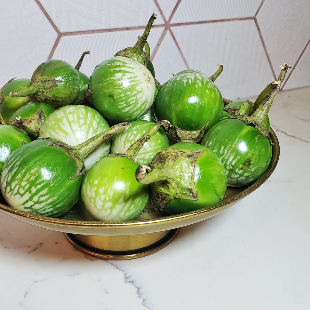Thai Eggplant (100g)