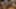 Decoration image without any essential information