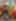 Post img