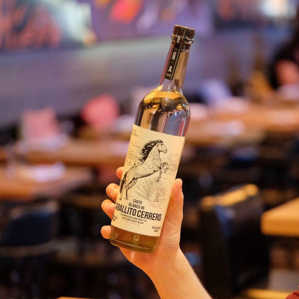 Caballito Cerrero Chato