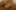 Decoration image without any essential information
