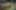 Decoration image without any essential information