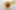 Decoration image without any essential information