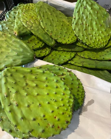 Welcome to The Cactus