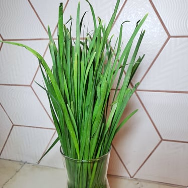 Chinese Chives (50g) , shop product